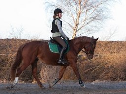 IMG-2149-021
